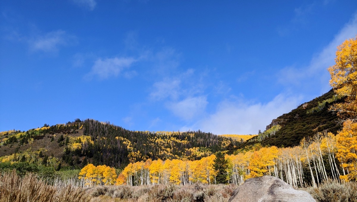 fishlake national forest pando