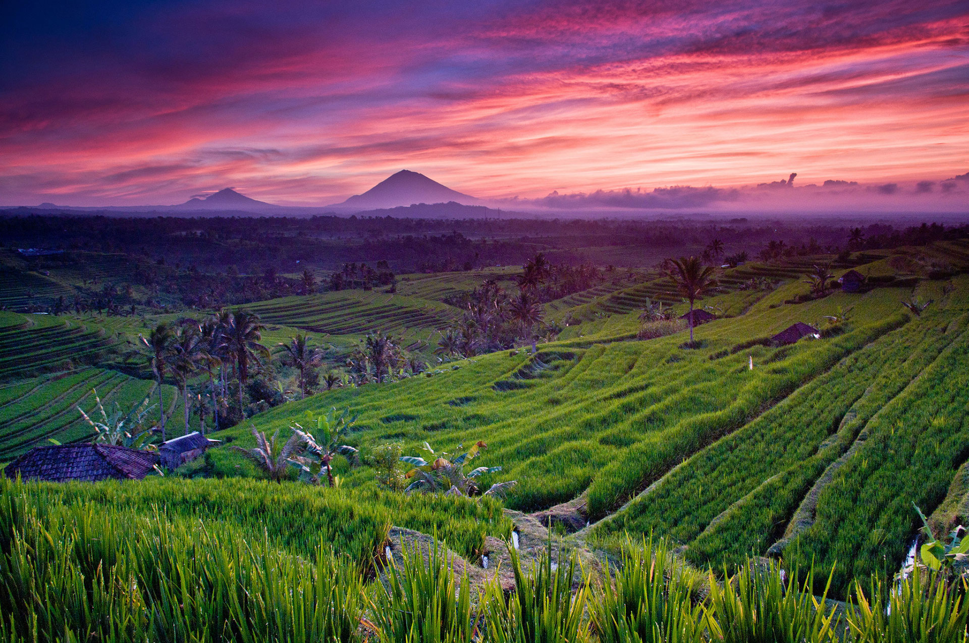 Bali – Heaven On Earth 3