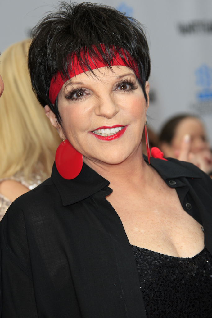 Liza Minnelli, Emmy Nominations