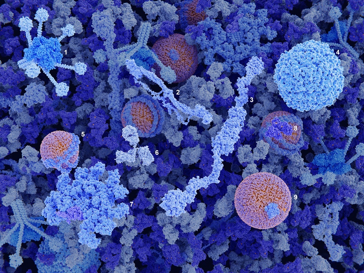 Main components of the blood plasma: complement C1, fibrinogen, von Willebrand factor, ferritin, HDL, immunoglobulin G, immunoglobulin M, albumin, LDL.