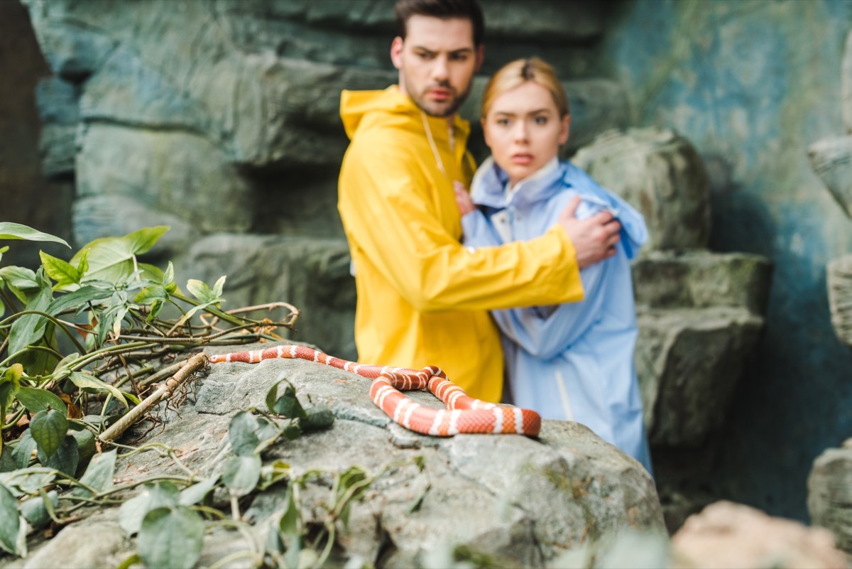 couple scared of snake