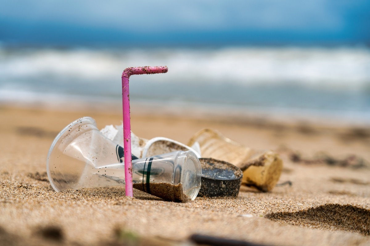 Plastic pollution is strewn on this sandy beach leading to the ocean. One pink straw and a drinking cup both discarded single-use plastic items.