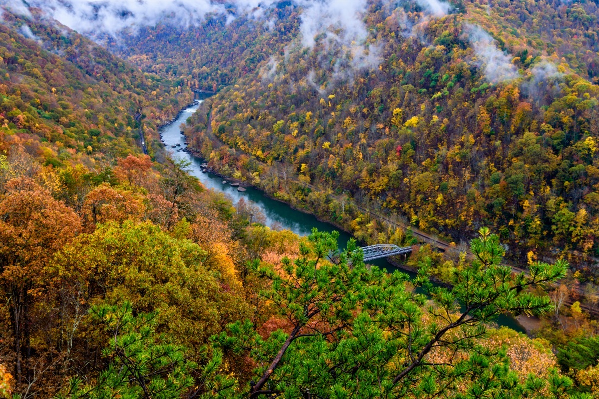 fall foliage new river gorge national park