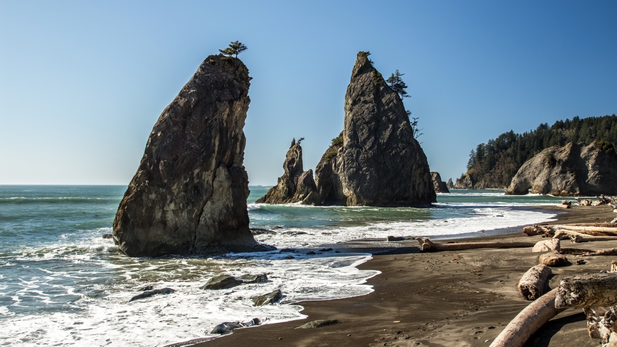 rialto beach olympic national park