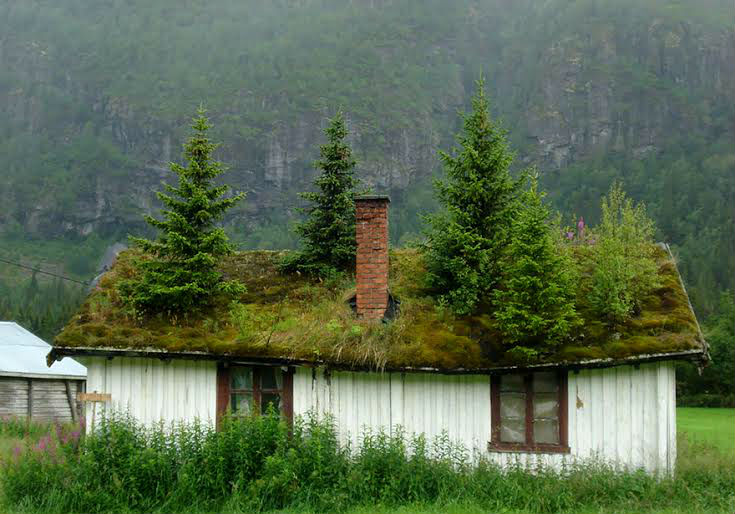 amazing-fairytale-grass-roofs-of-scandinavia-08