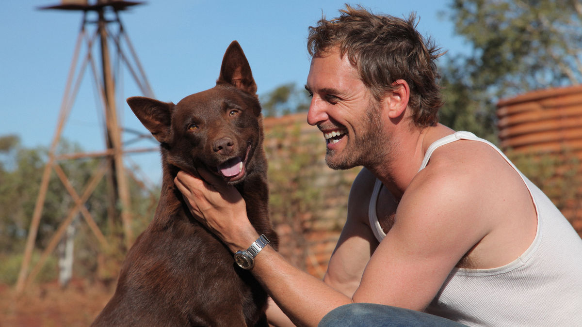 Josh Lucas in Red Dog