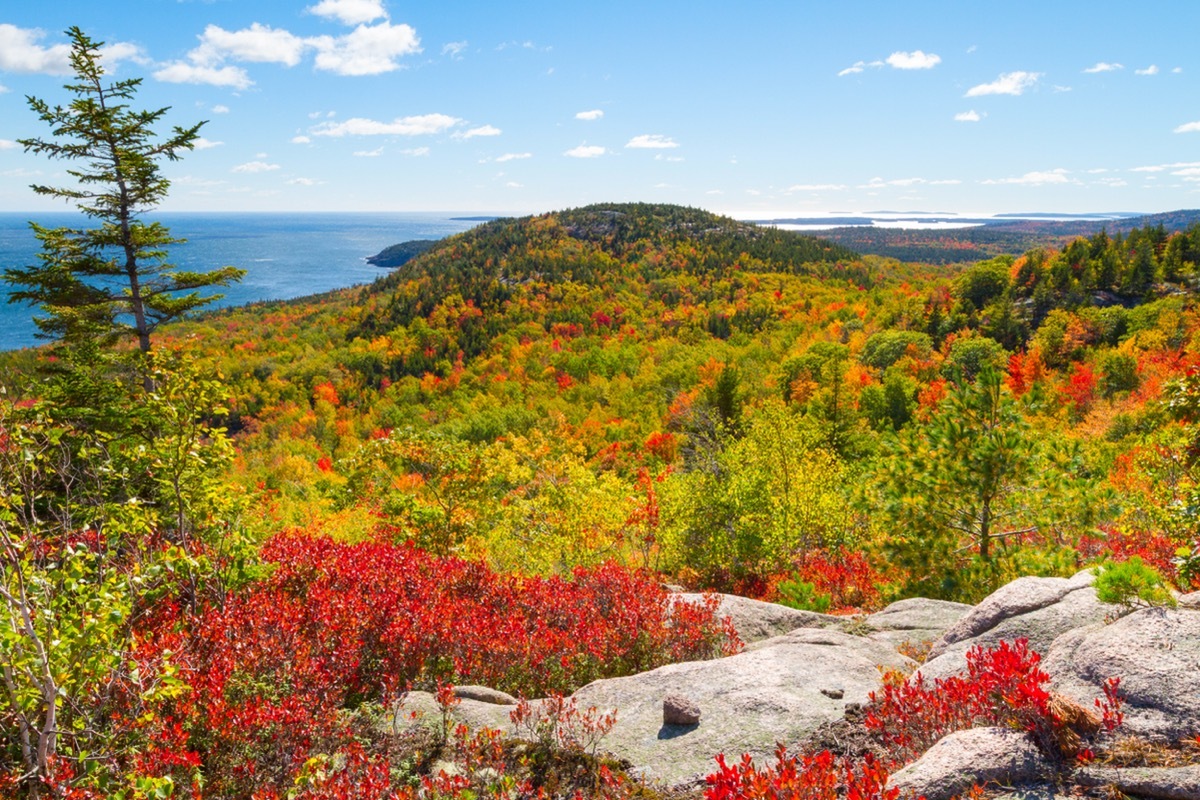 Acadia National Park