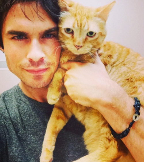 Ian Somerhalder Cat Moke Celebrity Pets