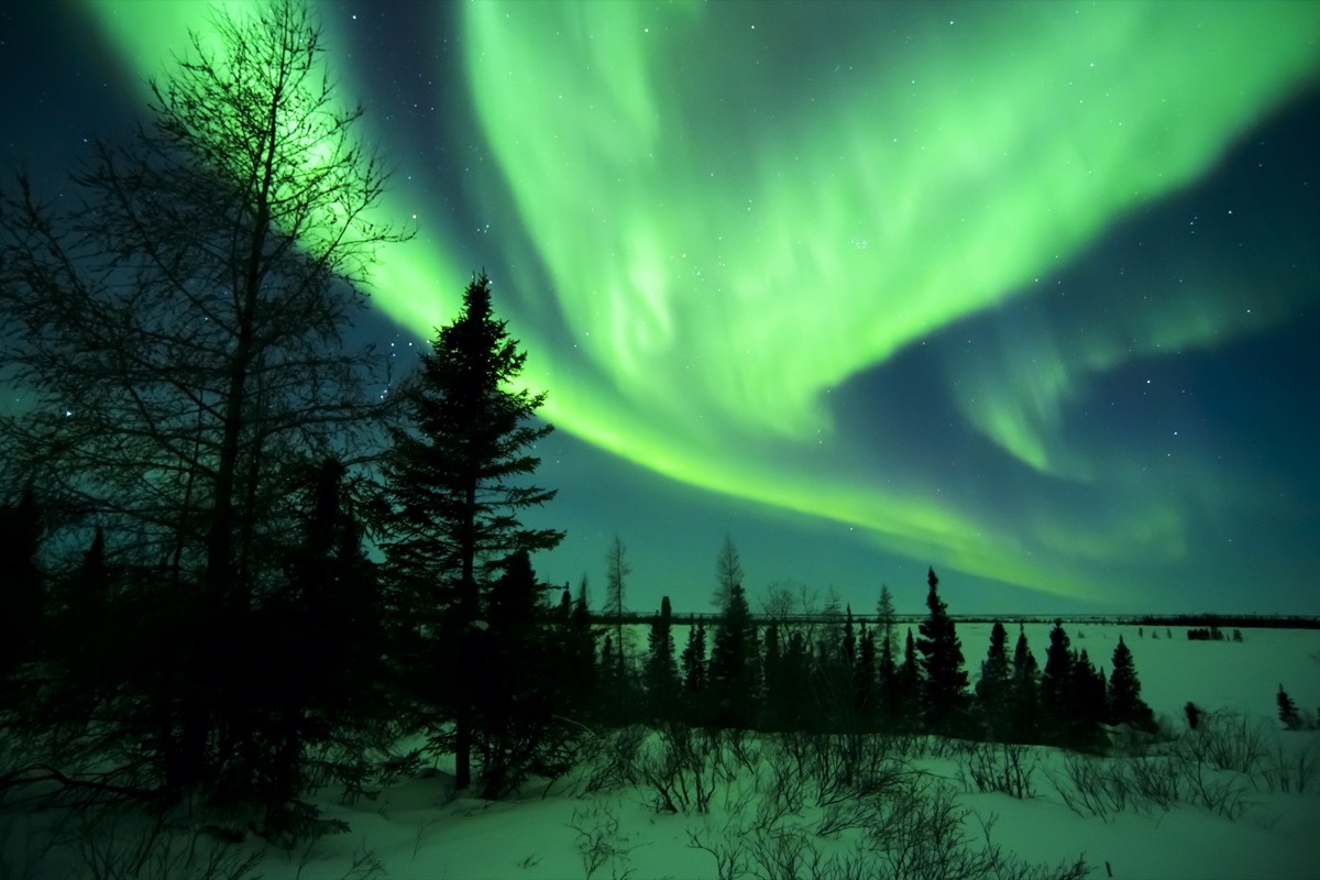 green northern lights over a forest and lake