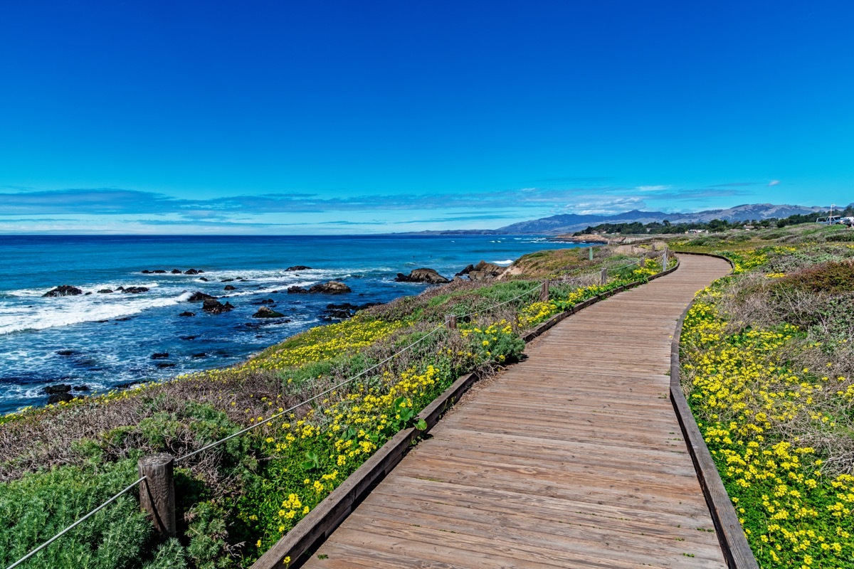 Boardwalk on Moonstone Beach