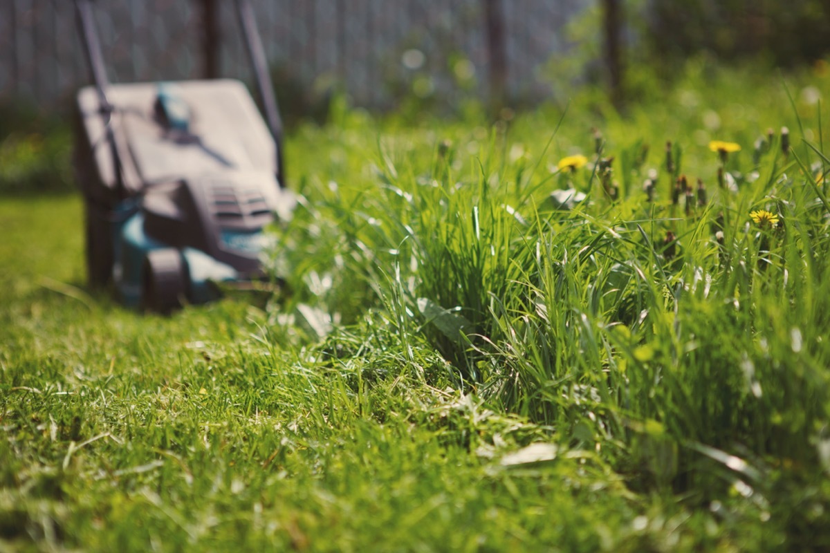 mowing overgrown grass