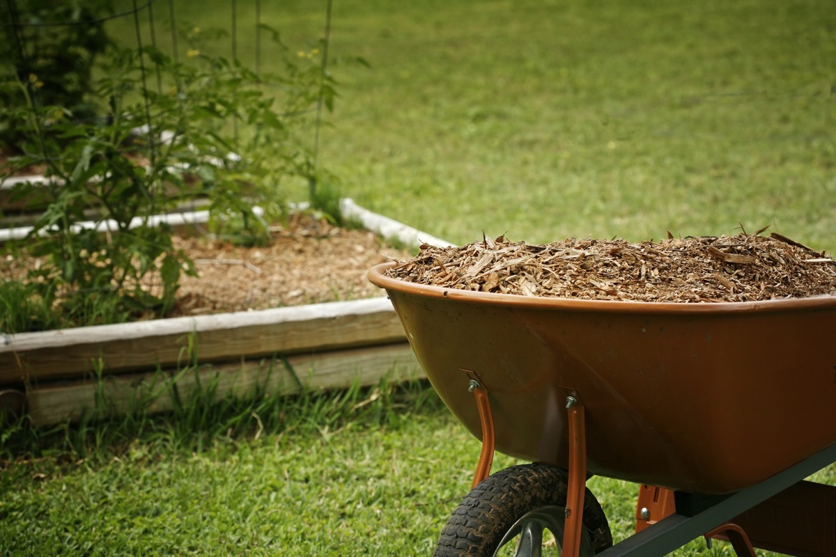 wood into mulch, getting rid of junk