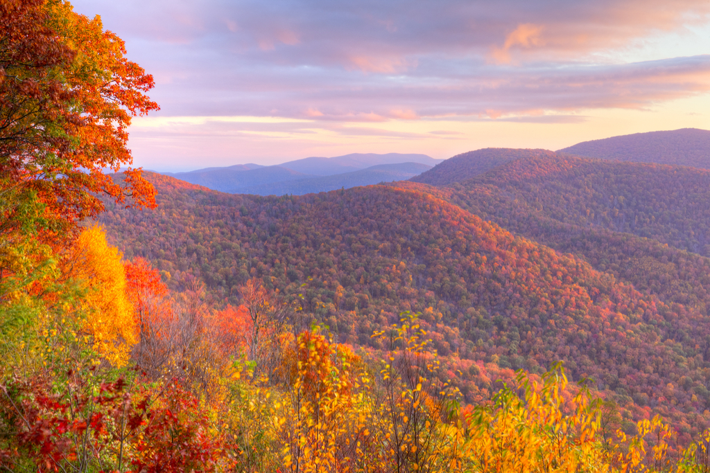 Shenandoah Valley, Georgia American Towns Foreigners Are Dying to Visit