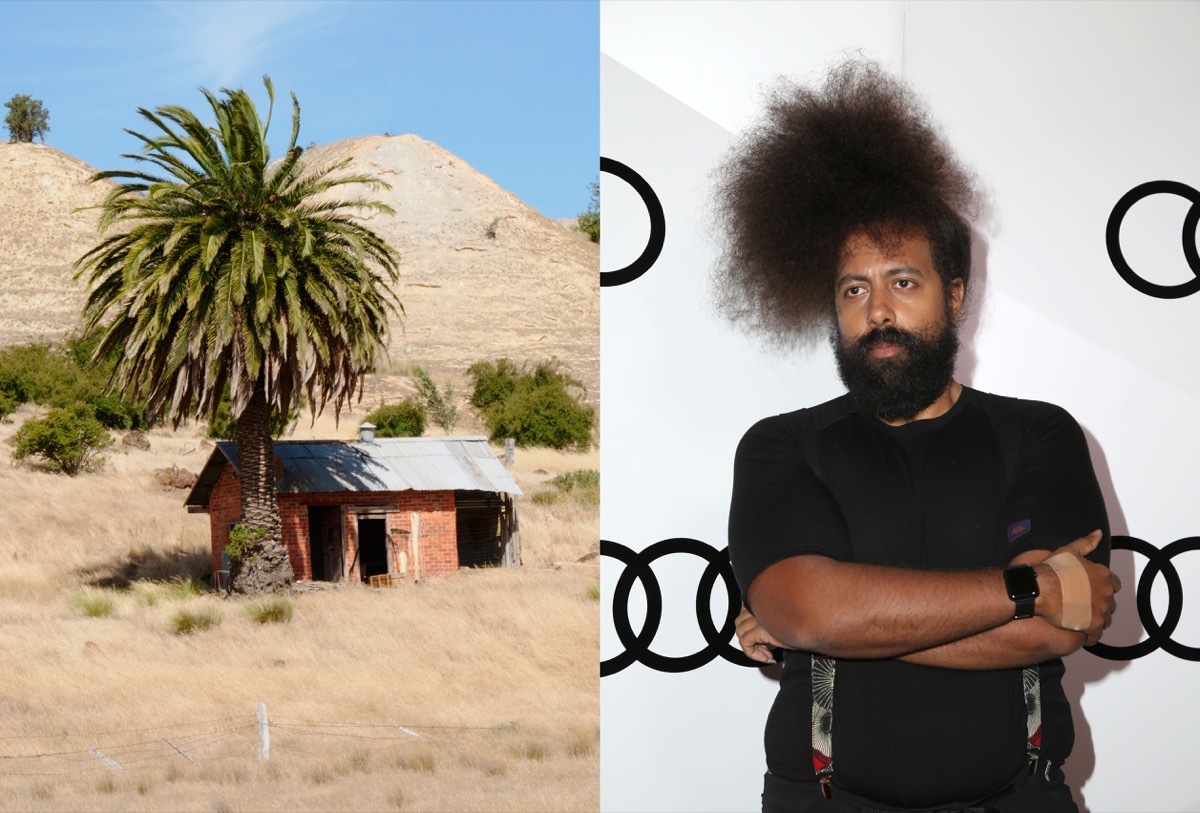 reggie watts and his lookalike house