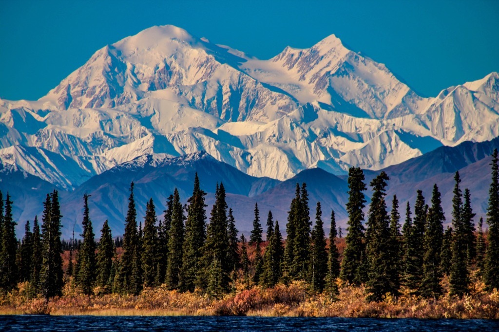 Denali National Park Alaska