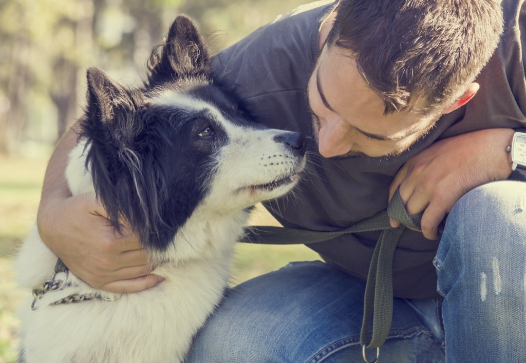 Dog friend, over 40