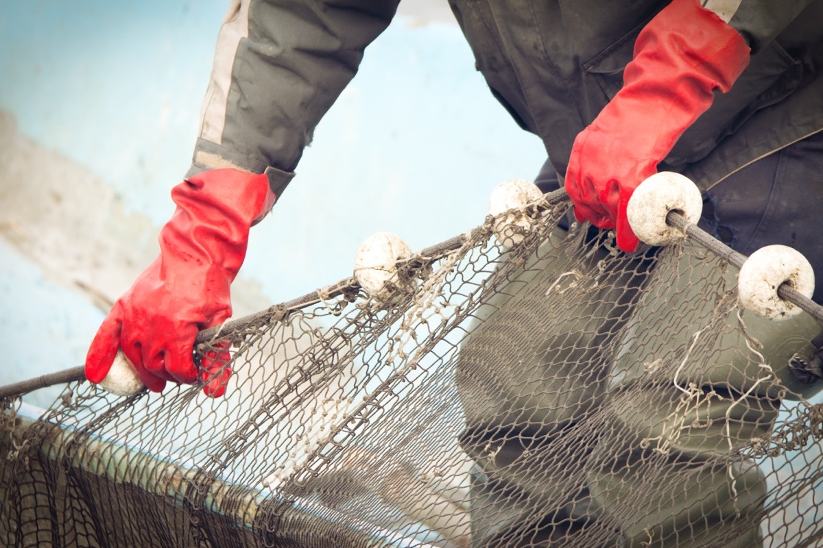 Fisherman at Work on a Boat Catching Fish Why Climate Change Matters