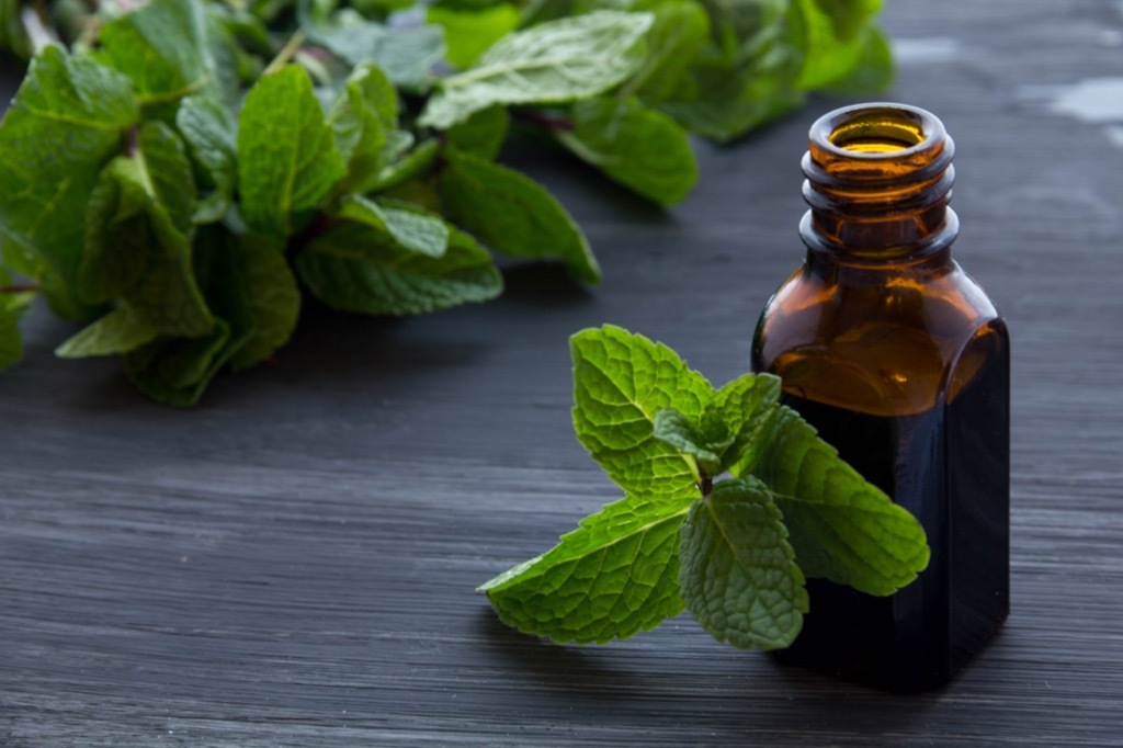 peppermint oil