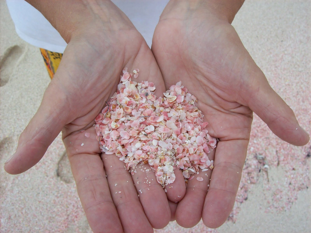 2.  Pink Beach, Bahamas 2