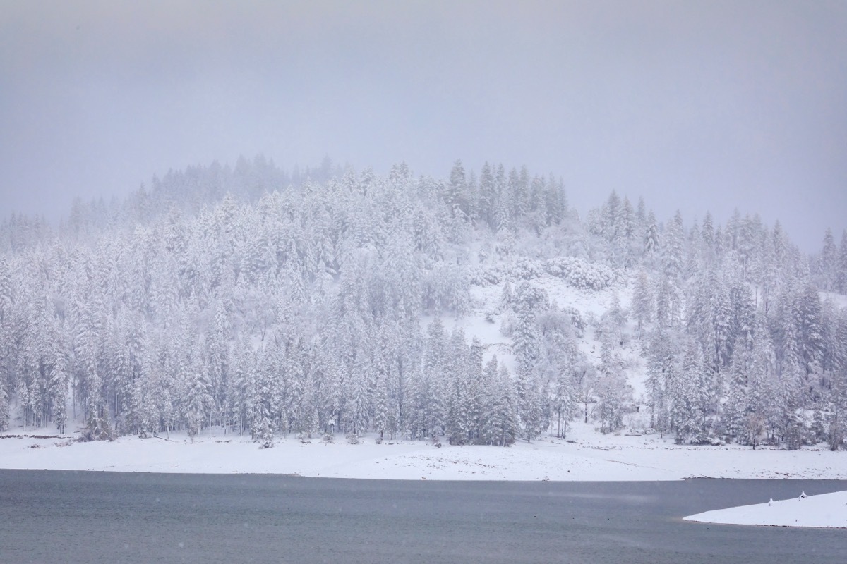 blizzard conditions in yosemite national park