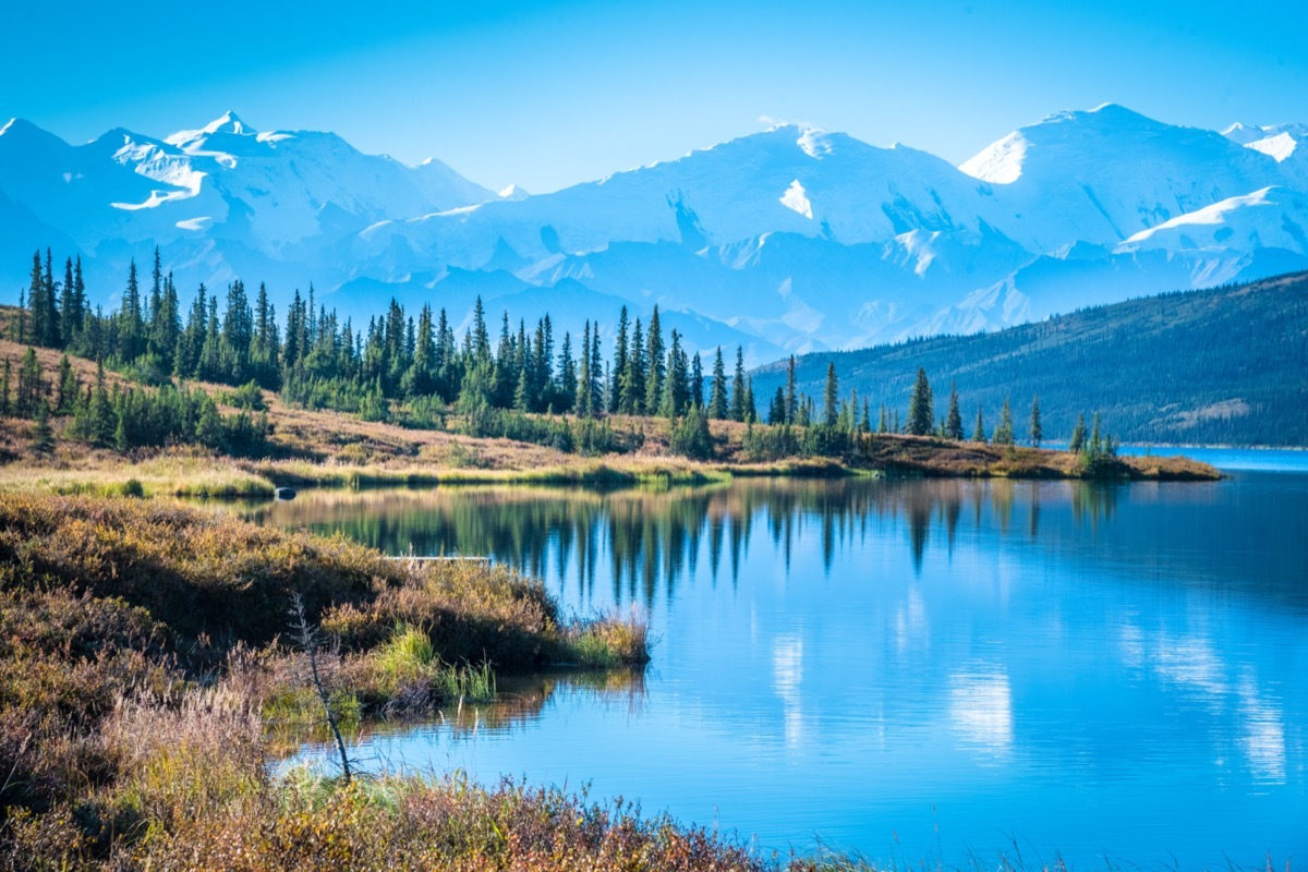 denali national park with mountain background Alaska